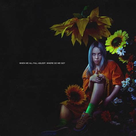 billie eilish    fall asleep     super deluxe fan box cd