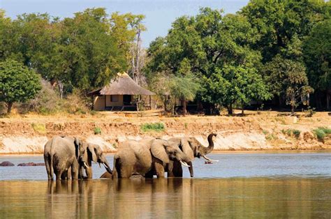 sambia lodge safari durch nationalparks afrikade