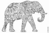 Elephants sketch template