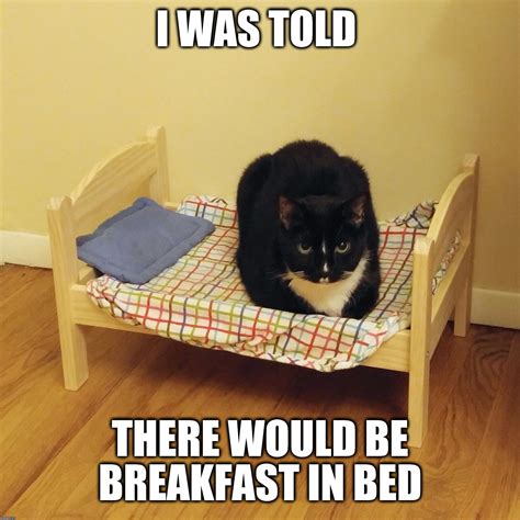 breakfast  bed imgflip