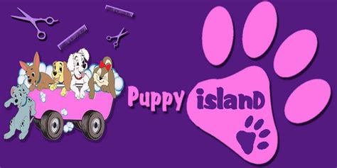 puppy island grooming dog spa myanmar yellow pages