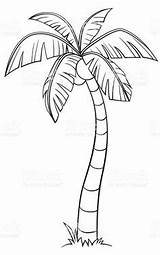 Palm Drawing Tree Coconut Line Trees Simple Coloring Easy Drawings Clipart Sketch Pencil Clip Outline Sketches Pages Arts Google Getdrawings sketch template