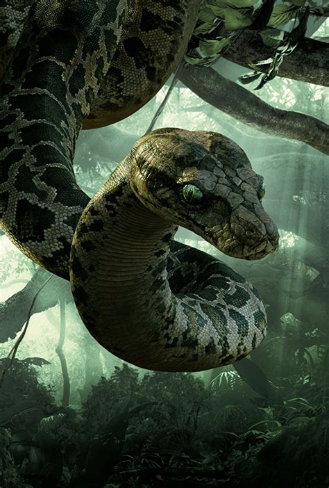 desktop wallpapers  jungle book  snakes kaa movies