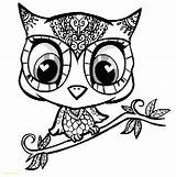 Owl Coloring Pages Adult Owls Adults Cute Kids Mandala Skull Print Cartoon Sugar Easy Color Abstract Girl Printable Babies Difficult sketch template