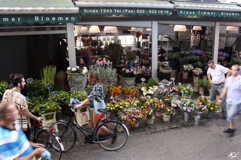 bloemenmarkt amsterdam scenes   public market