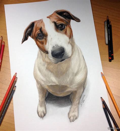 beautiful dog drawings  art works  top artists