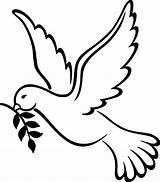 Coloring Dove Peace Pages Print sketch template