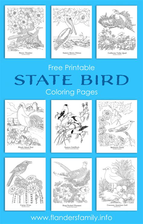 state bird coloring pages  printable flanders family homelife