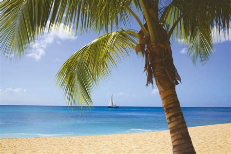 Best Beaches In Barbados The Classic Blog