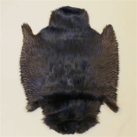 glacier wear natural black beaver pelts  sale