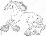 Horse Coloring Shire Running Pages Drawing Book Sketch Getdrawings Royalty Print Stock Drawings Color Getcolorings Contents Comp Similar Search Printable sketch template