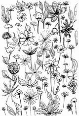 Blumenmuster Coloring Blumen Malvorlagen Ausmalen Doodles Besuchen Meinlilapark sketch template