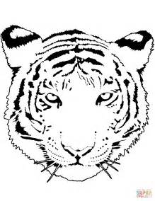 aubie  tiger coloring page coloring pages
