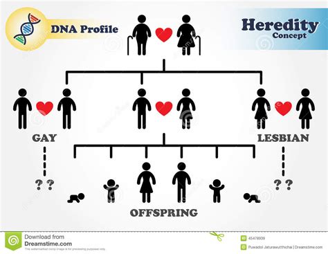 hereditary diagram genetic stock vector image 45478939