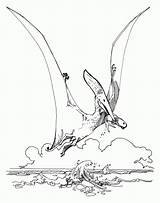 Coloriage Dinosaure Pteranodon Catégorie sketch template