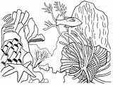 Coral Arrecifes Pintar Arrecife Rafa Koralowa Reef Corales Corail Kolorowanki Coloriages Coloriage Dla Reefs Imagui Peces Sheets Wydruku Coloringpagesfortoddlers Colorier sketch template
