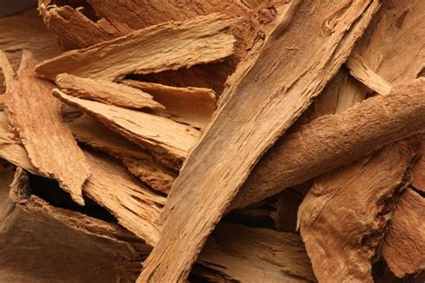 cinnamon bark essential oil   benefits