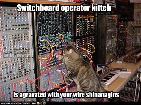 switchboard operator kitteh cheezburger funny memes funny pictures