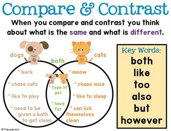 compare contrast poster   grade  sweet tpt
