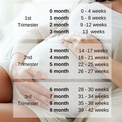 how many weeks in 9 months in pregnancy pregnancywalls