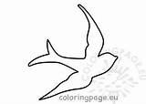 Swallow Bird Template Flying Printable Coloringpage Eu sketch template