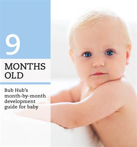 month  baby     month milestones bub hub