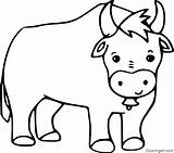 Ox Mammals Musk Coloringall sketch template