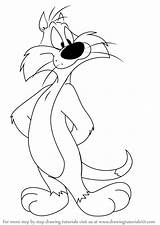 Looney Tunes Sylvester Cartoon Drawingtutorials101 sketch template