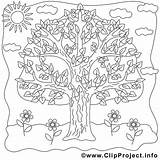 Ausmalbilder Baum Mandala Zum Ausmalbild Ausdrucken Ausmalen Kostenlose Jahreszeiten Mandalas Sommer Kinder Gratis Erwachsene Malvorlagen Coloring Zu Entdecke Ideen sketch template
