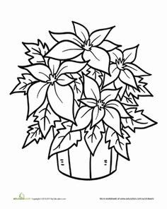 christmas flower printable coloring page coloring pages christmas