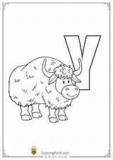 Yak Alphabet Worksheets sketch template