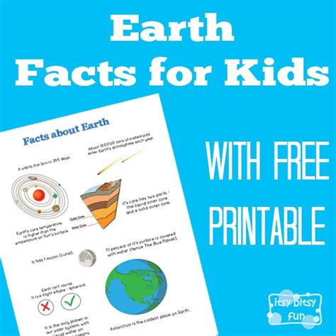fun earth facts  kids itsy bitsy fun