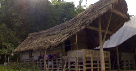rumah adat sulawesi barat tradisikita
