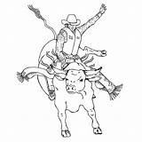 Bull Coloring Pages Bucking Rodeo Drawing Riding Print Printable Bulls Color Pbr Leather Book Sheets Colouring Rider Kids Horse Cowboy sketch template