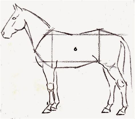 easy step  draw  horse  painting tips