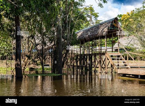 curassow amazon lodge  located   banks   yanayacu river   peruvian amazon stock