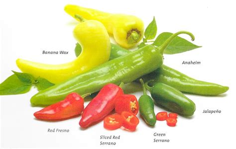 a guide to chile peppers — common varieties uses and heat levels