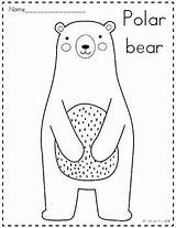 Coloring Arctic Animals Pages Kids Tpt sketch template