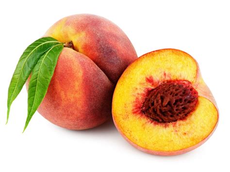 plant  peach pit growing peaches  seed