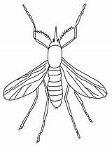 Mosquito Designlooter sketch template