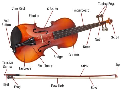 violin   partnership