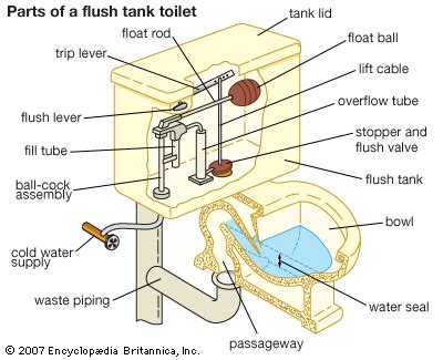 house plumbing toilet image visual dictionary atelier yuwaciaojp