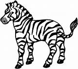 Zebra Coloring Color Clipart Library sketch template