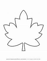 Leaf Maple Coloring Fall Template Planerium Login sketch template