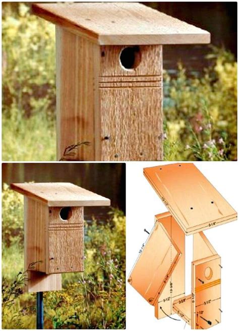 build  birdhouse  easy diy birdhouse ideas diy crafts