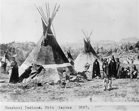 great basin american indian tribes