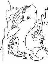 Coloring Sea Pages Printable Animal Animals Creatures Life Creature Kids Drawing Ocean Baby Drawings Cute Clipart Book Marine Monster Books sketch template