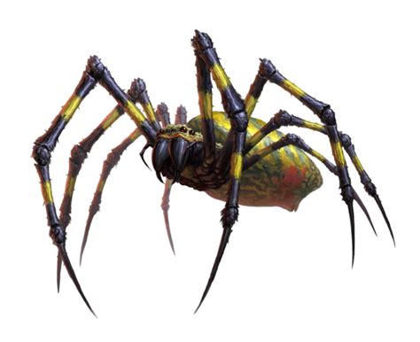 giant joro spider pathfinder  pfrpg pfsrd dnd dd     ed  fantasy