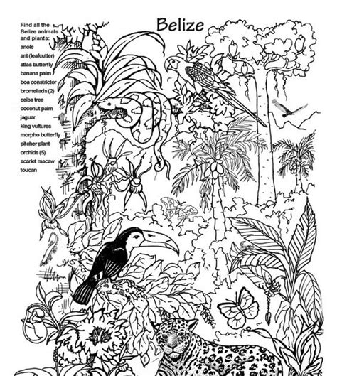 animal habitat coloring pages google search st grade art lesson ideas