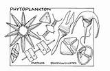 Plankton sketch template